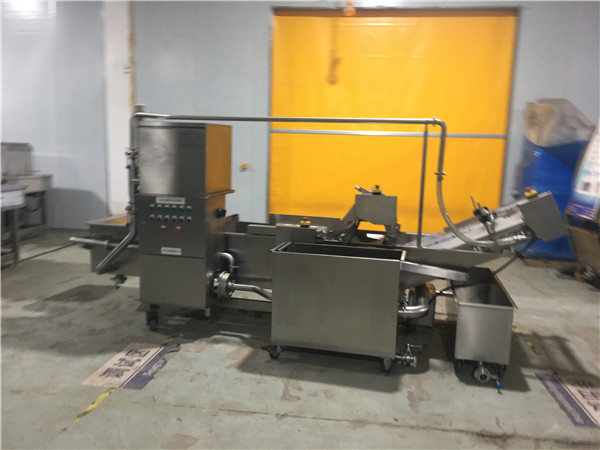 土豆清洗機FX-800，效率高能耗低省水