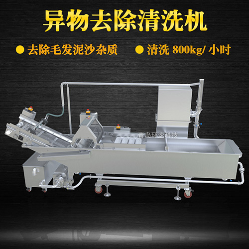 商用專業(yè)果蔬清洗機，氣泡清洗，清洗800kg小時